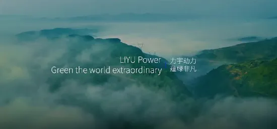 Liyu Power 10.5kv High Voltage 2 MW Industrial Gas Genset